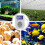 220V Temperature Controller Plug with Sensor, Digital Thermostat Plug ,Socket Thermostat Switch for Greenhouses EU Plug 3