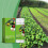 100ml Fast Plants Rooting Stimulator Organic Liquid Fertilizer Plant Cutting 4