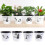 (1Flower) Automatic water absorption simple stylish imitation porcelain green radish 5