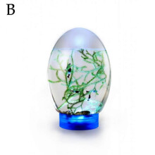 (Blue) Mini Small Desktop Aquarium Glass Fish Tank Eco Aquarium Amphibious