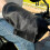 (Black 2pcs) UV-resistant Summer Sun Protection Handlebar Cover for Electric Vehicles 1