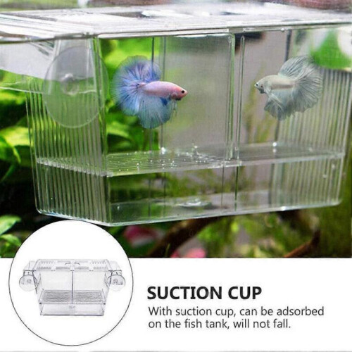 Acrylic aquarium fish tank hatching box juvenile fish breeding box incubator 1