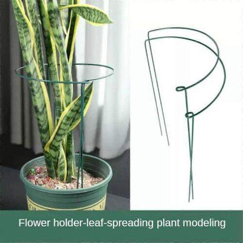 Interconnecting Semi-circular Peony Support Ring Cage 2