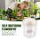 Self-Watering Flowerpot Automatic Water Absorption 5