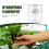 Self-Watering Flowerpot Automatic Water Absorption 6
