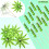 60 pezzi di carta da cocco tropicale verde U 8
