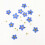 100Pcs Pressed Dried Natural Mini Blue Forgetmenot 5