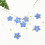 100Pcs Pressed Dried Natural Mini Blue Forgetmenot 3