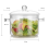 Double Ear Bowl Glass with Lid High Borosilicate H 7