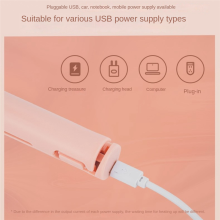 2 in 1 Dual-Purpose Hair Curler, Mini Straightener