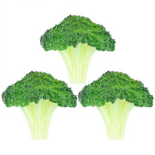 Fake Play Broccoli 3Pack Simulated Broccoli Models Decoration Props PVC Vegetable Model for Art Training Institution Hotel Mini House Lovers