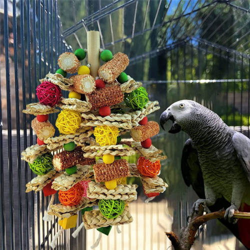 Parrot Toys Bird Natural Corn Cob Chew για Μικρά Αλογάκια 2