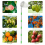 Colhedor de frutas com 4 hastes telescópicas de metal Orchard 10