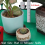 Estera impermeable para trasplantar plantas en interiores 6