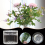 Support de tige d'ikebana en spirale, grille florale réutilisable f 10