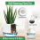 Vasos - Vaso autoirrigável de 3 polegadas para plantas e cactos 9