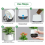 Vasos - Vaso autoirrigável de 3 polegadas para plantas e cactos 6