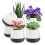 Vasos - Vaso autoirrigável de 3 polegadas para plantas e cactos 3