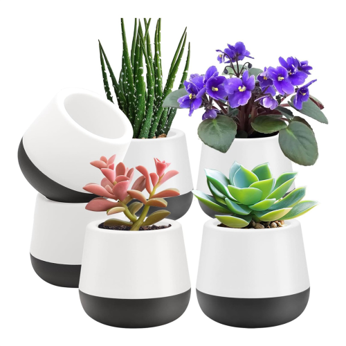 Vasos - Vaso autoirrigável de 3 polegadas para plantas e cactos 2