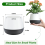 Vasos - Vaso autoirrigável de 3 polegadas para plantas e cactos 4