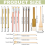 14Pcs Pottery Glaze Brushes, Wood Brushes Long Han 3