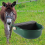 Bebedouro automático para gado e ovelhas, Hors 6