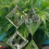 Wind Chimes for Outside with 3D Spinner,Gifts Wome 4