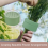 Flower Stem Support Reliable Spiral Ikebana Holder 11