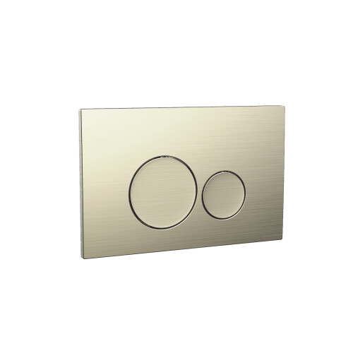 NES Home Nes Home Top or Front Wall Hung Toilet Frame Brushed Brass Flush Round Buttons 1