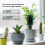 Zigbee Smart Jordfugtighedsmåler - Tuya-app-styring 5