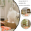 Jouet interactif en peluche pour chien Floppy Lobster 6