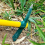 Spitzhacke Hacke Heavy Duty Gartenarbeit Hand Pick 5