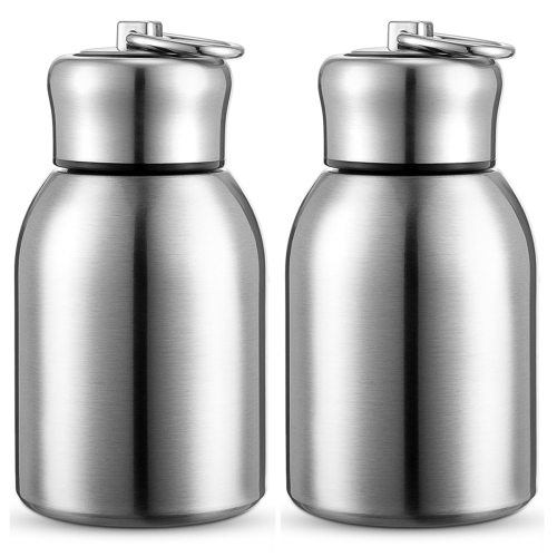 2 Stück 10oz Mini-Wasserflasche aus Edelstahl, schmal