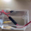 Conector de energia solar, cabo de derivação Y, cabo paralelo 6