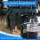 1C01060017 Brændstofafbryder solenoide til motor V3300 10