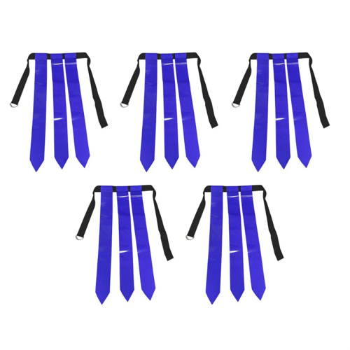Football Belt Jugend Touchdown Game Capture the Fl 1