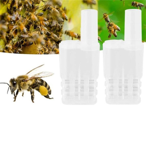 Bee Queen Cages Beekeeping Catcher Equipment Plast 2