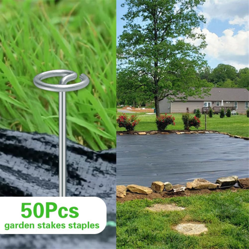 50 peças de grampos para paisagismo com topo circular, 6 polegadas de jardim 2