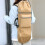 Double Rocker Skateboard Backpack Land Surfboard B 5