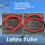 Bandas de borracha para estilingue de pesca submarina 16X3MM 9
