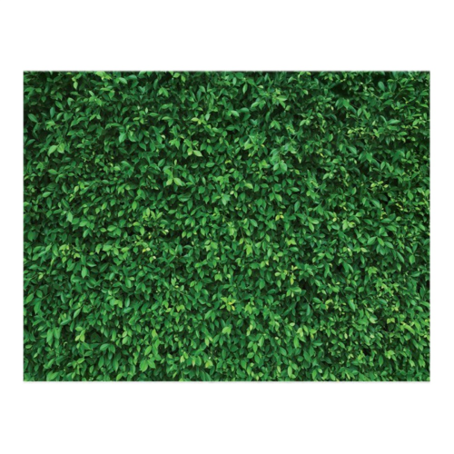 Vinyl Green Leave Photography Backdrops Birthday B