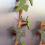 Ivy Refrigerator Tile 3D Printed Magnet Magnets ar 6