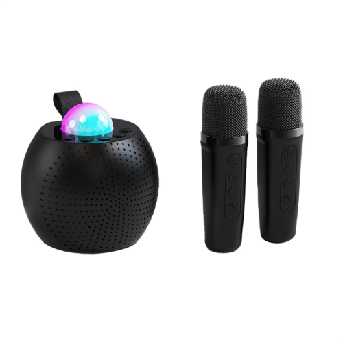 Draadloze microfoon Bluetooth-luidspreker Buitenpoort 1