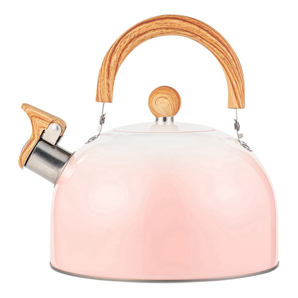 Whistle Teapot, Stainless Steel Fast Boiling, Cool-image-OPC-PJ5TYNT-NEW