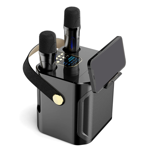 Krachtige karaoke Bluetooth-luidspreker, draagbaar 360