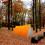Emergency Sleeping Bag, Lightweight Thermal Bivy Sack, Waterproof Survival Sleeping Bag 2