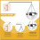 Αιθέριο Έλαιο για Σάουνα, Αξεσουάρ Δωματίου 8