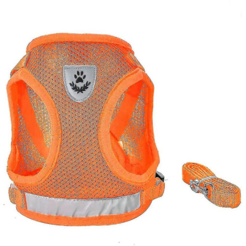 (S) Dog Harness And Leash Set