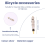 30 τεμάχια ανταλλακτικά ποδηλάτων Presta Valve Core Tubeless 5