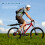Πίσω ράφι ποδηλάτου Mountain Bike Flat Τηλεσκοπικό B 10